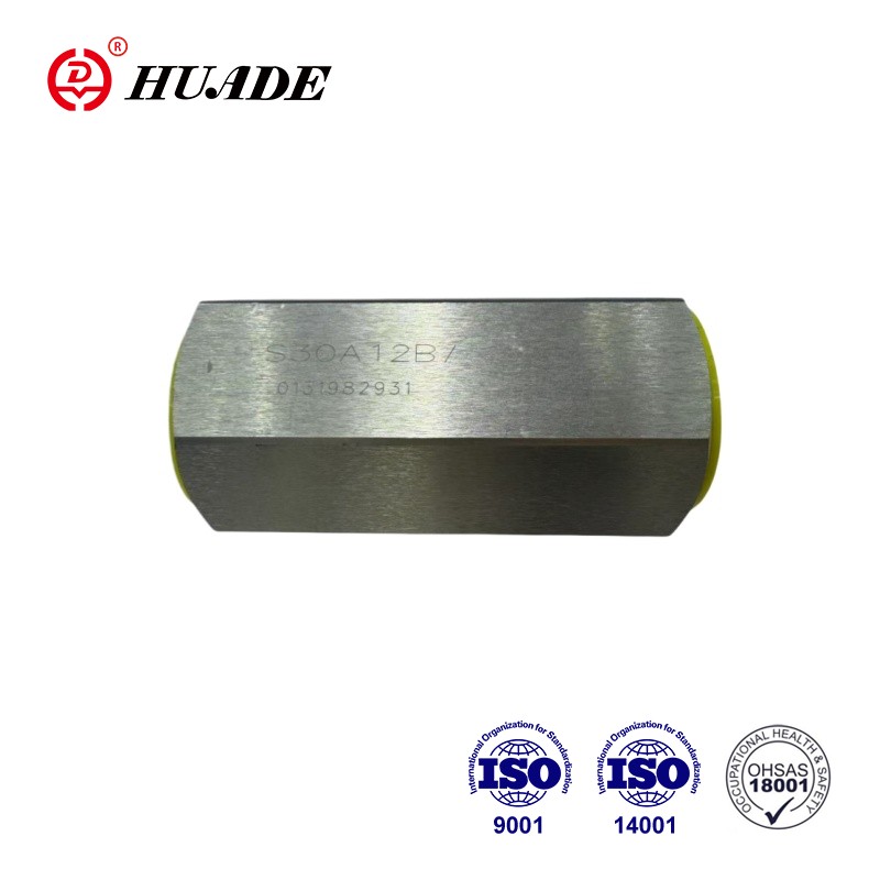 গ্যালভানাইজড চেক ভালভ টাইপ এস: ক্রেতা এবং প্রকৌশলীদের জন্য একটি ব্যবহারিক গাইড